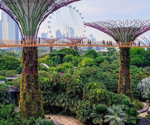 3N Singapore | 3N Malaysia
