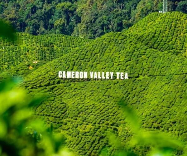 2N Kuala Lumpur | 2N Cameron Highlands