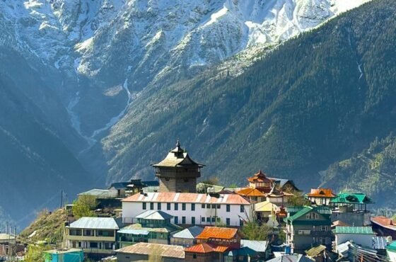 2N Manali | 2N Shimla