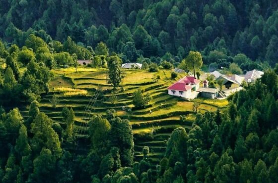 2N Dalhousie | 2N Amritsar