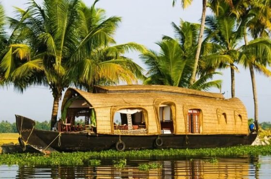 1N Kochi | 1N Alleppey | 2N Munnar | 1N Thekkady