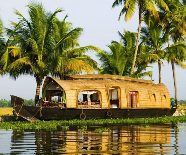 1N Kochi | 1N Alleppey | 2N Munnar | 1N Thekkady