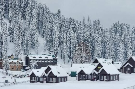 5N Srinagar | Gulmarg | Pahalgam | Houseboat