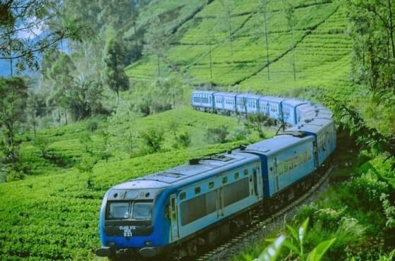 2N Colombo | 1N Kandy | 1N Nuwara Eliya | 1N Bentota