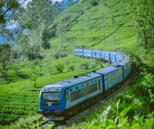 2N Colombo | 1N Kandy | 1N Nuwara Eliya | 1N Bentota