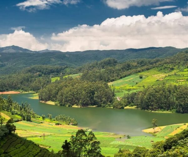 3N Ooty