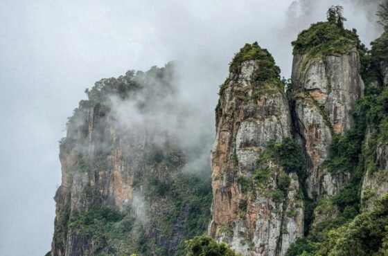 2N Kodaikanal | 2N Munnar