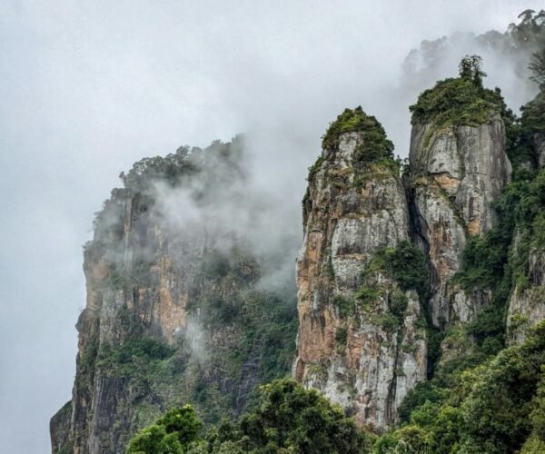 2N Kodaikanal | 2N Munnar