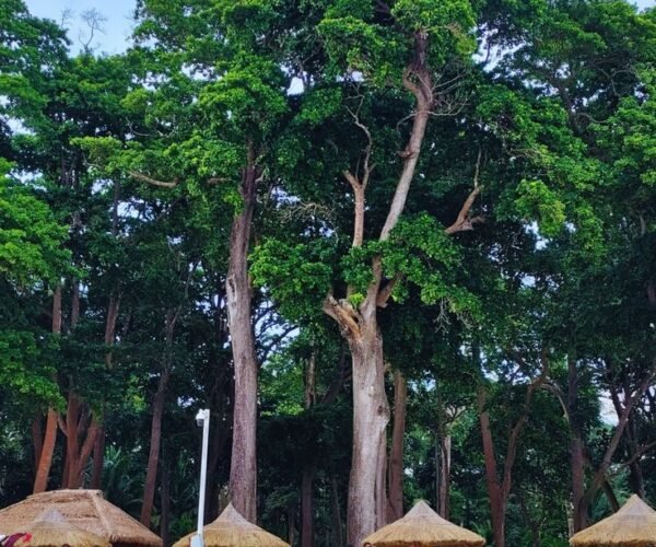 2N Port Blair | 1N Havelock | 1N Neil