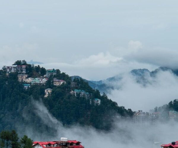 3N Manali | 2N Shimla
