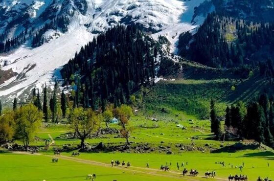 4N Srinagar | Gulmarg | Pahalgam