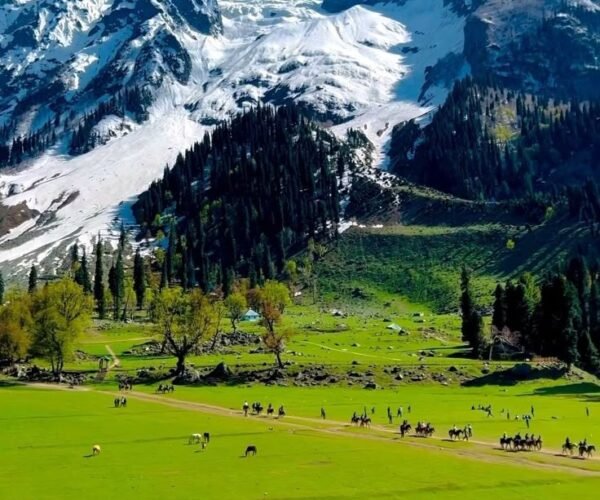 4N Srinagar | Gulmarg | Pahalgam