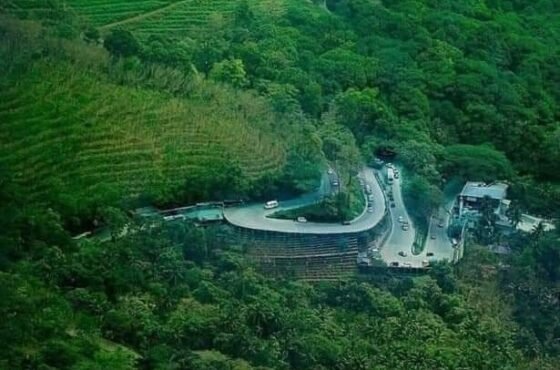 2N Wayanad | 1N Calicut