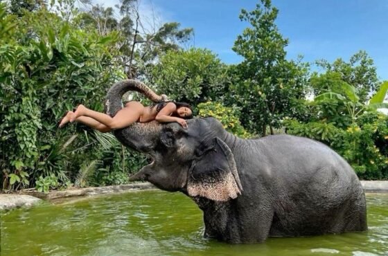 2N Colombo | 1N Kandy | 1N Nuwara Eliya