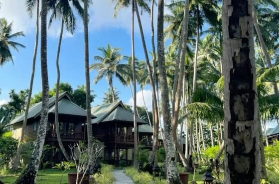 2N Port Blair | 2N Havelock | 1N Neil