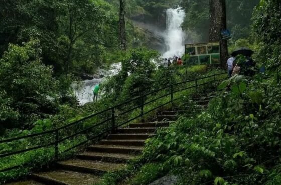 2N Coorg | 2N Mysuru