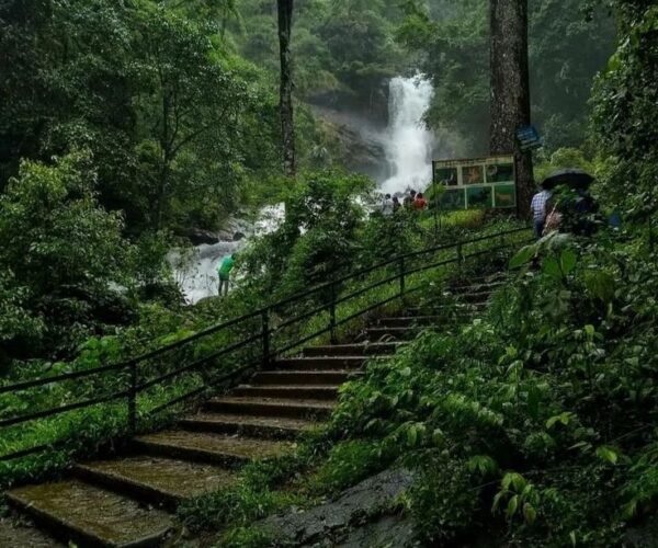 2N Coorg | 2N Mysuru