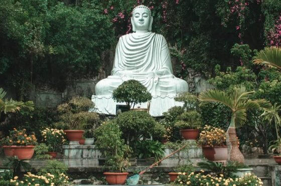 1N Hanoi | 1N Halong | 2N Da Nang | 2N Saigon