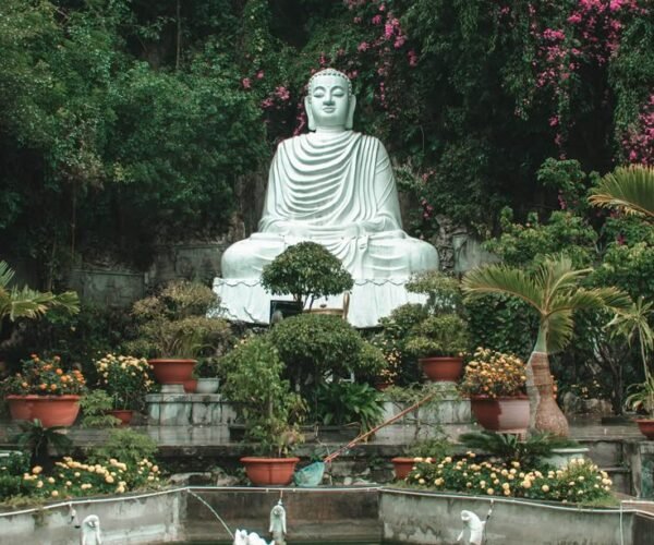 1N Hanoi | 1N Halong | 2N Da Nang | 2N Saigon