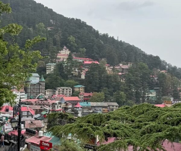 3N Manali | 2N Shimla | 2N Delhi